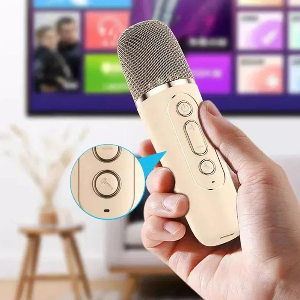Party Pro Karaoke Speaker System